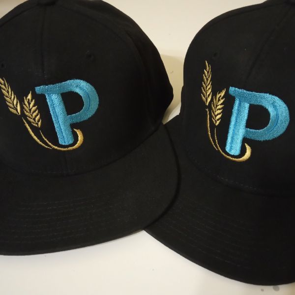 Embroidered school cap with structured front panel